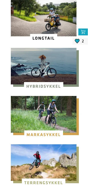 Evo Elsykler webbutik